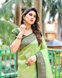 Fabulous Mint Green Pure Kanjivaram Pattu Saree