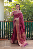 Pure Handloom Silk Bandhej Wine Patola Saree